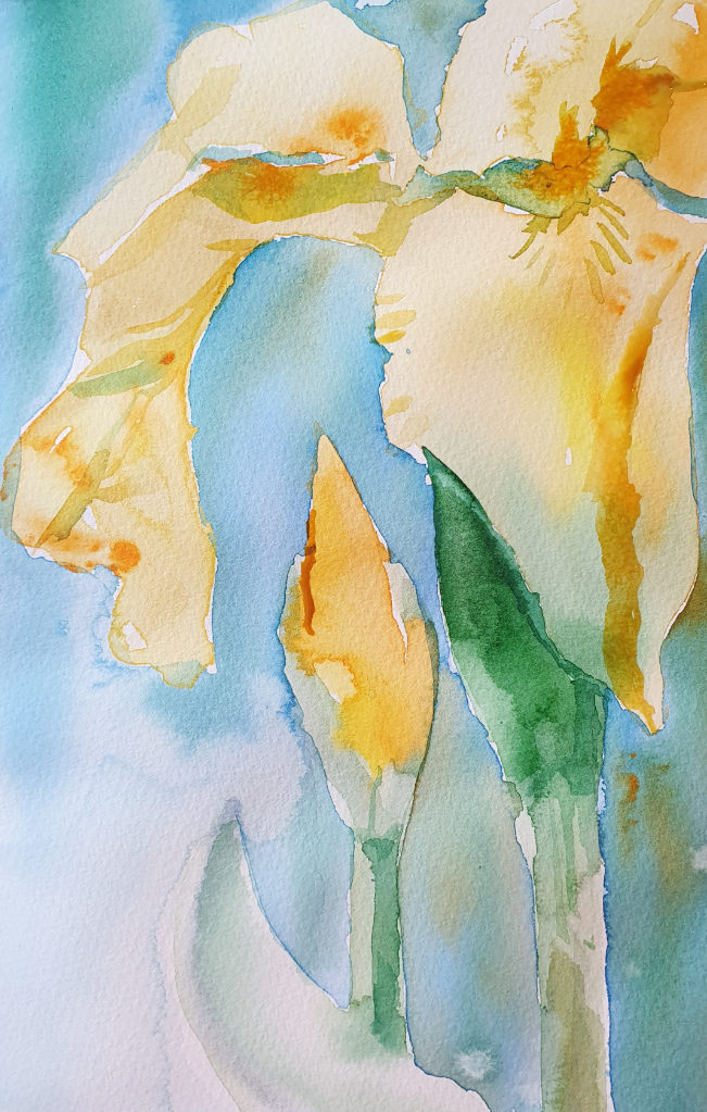 Iris