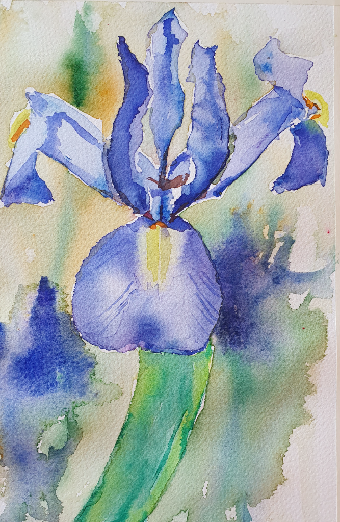 Iris1