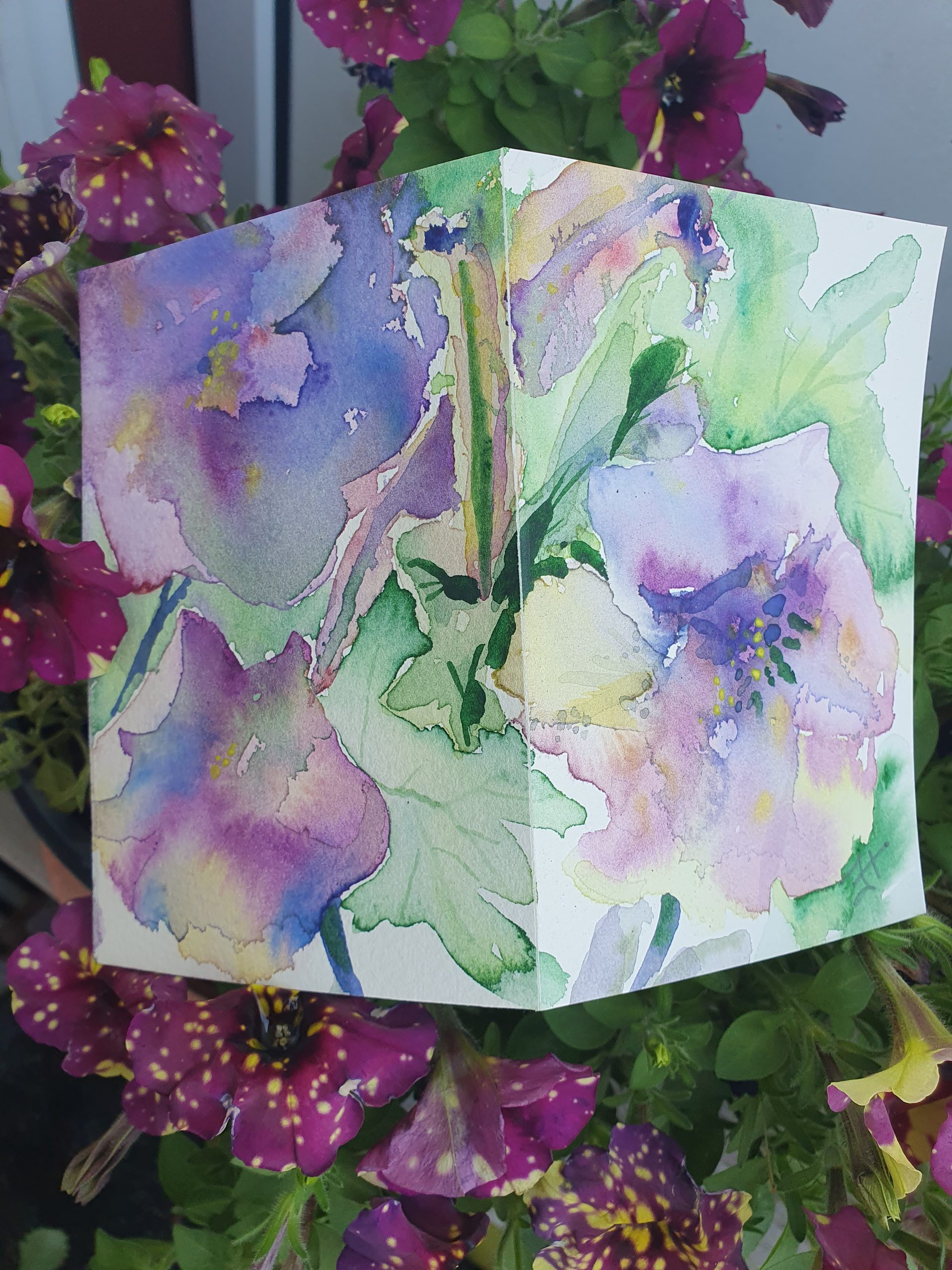 petunia